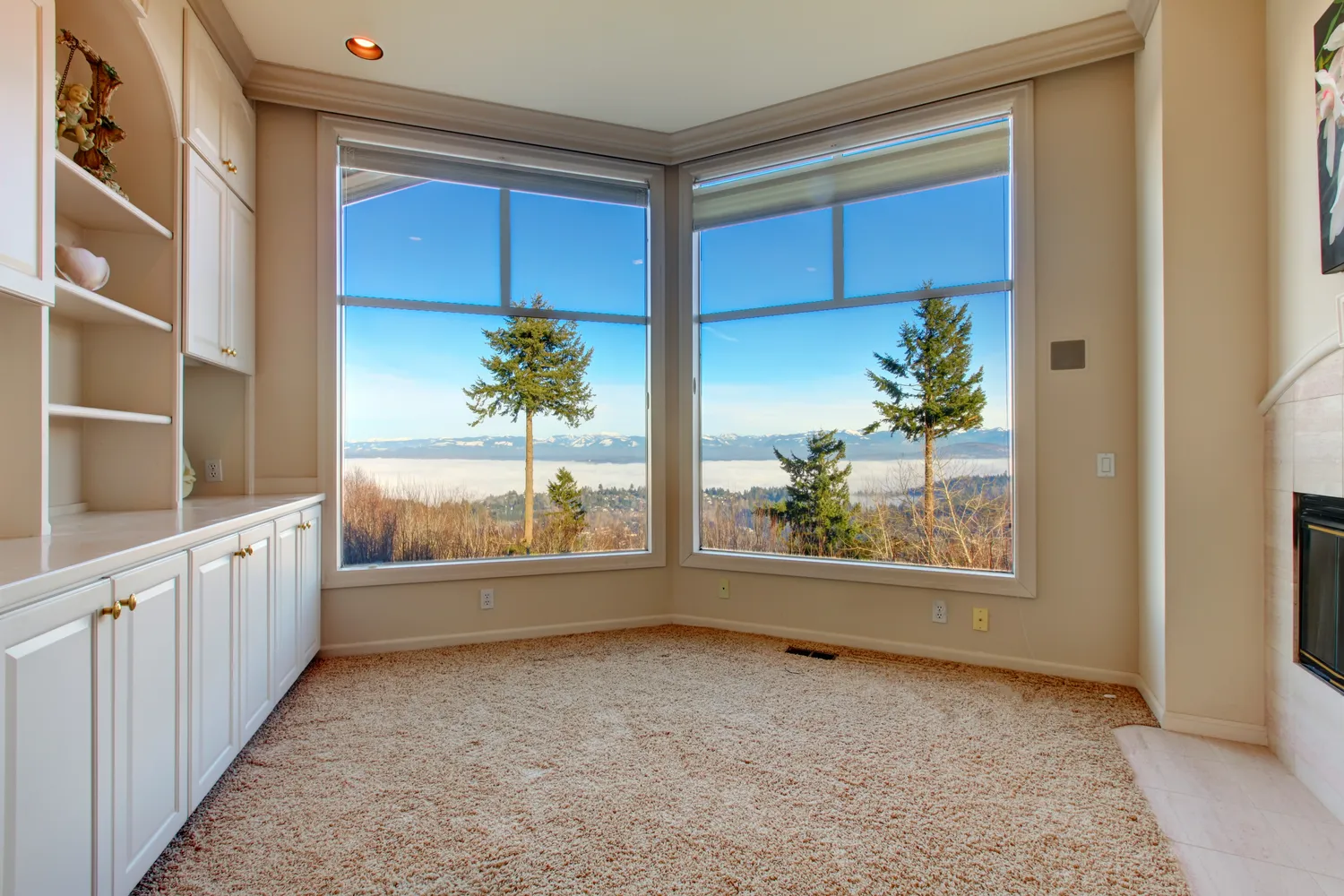 Window Replacement Near Chicago | American Windows And Doors